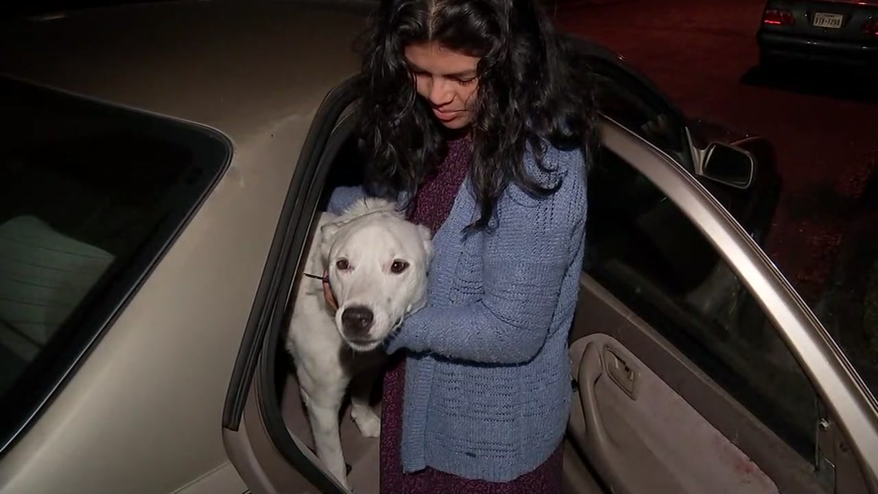 Dog saves family from house fire